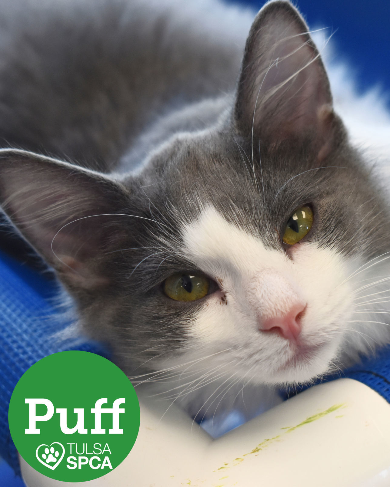 Puff